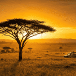 Maasai Mara luxury safari